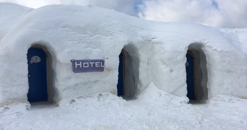Igloo de glace ou igloo de verre : lequel choisir ?