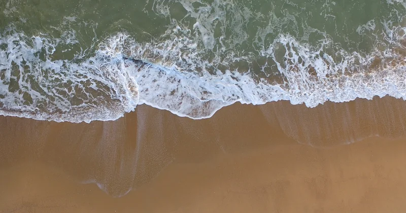 Plages et environnement : les règles à respecter absolument